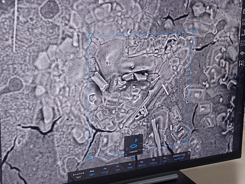 SEM image showing nanoplastic fragments and fibers in human sperm sample