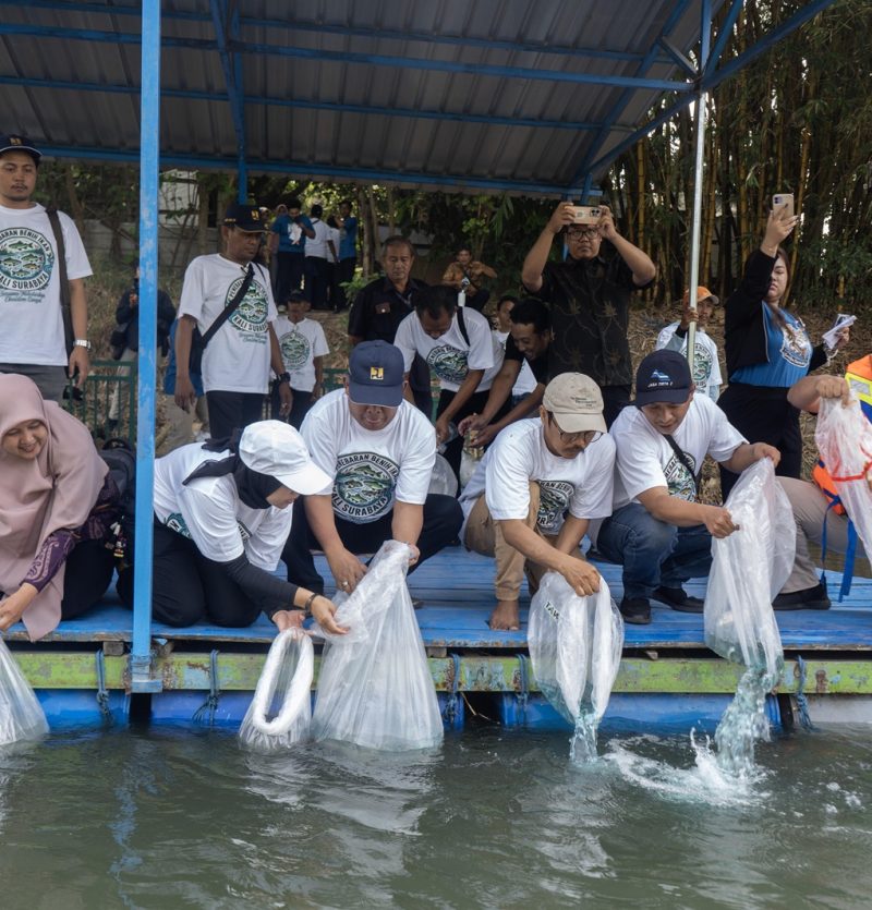 Peserta menebarkan benih ikan lokal ke Kali Surabaya dari atas perahu