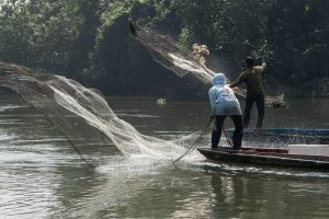 Nelayan mengambil ikan dalam sensus Kali Surabaya 2026