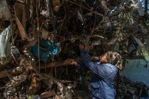Sampah di sekitar Kali Surabaya