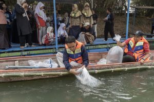 Peserta menebarkan benih ikan lokal ke Kali Surabaya dari atas perahu